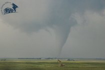 first-tornado