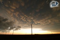 mammatus_shareable