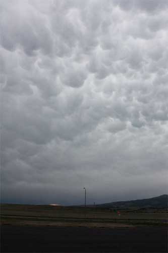 mammatus