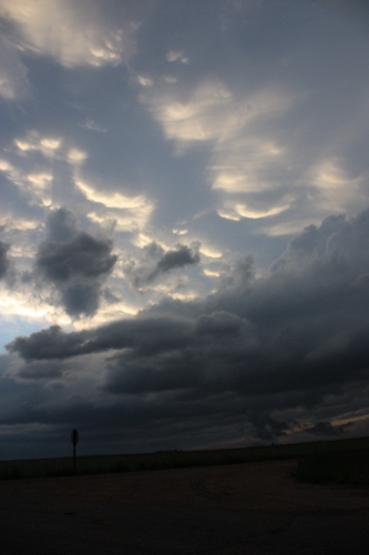 mammatus