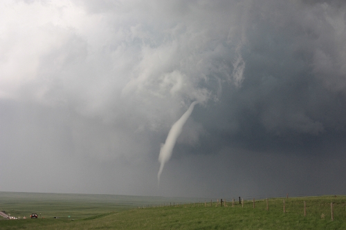 bird with a beak tornado