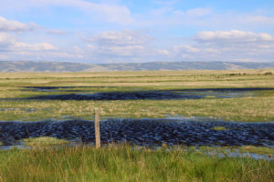 wyoming flooded fields