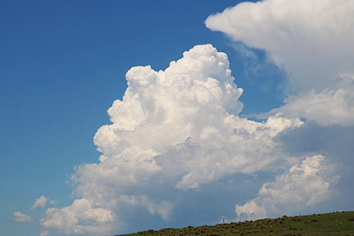 crisp updraft