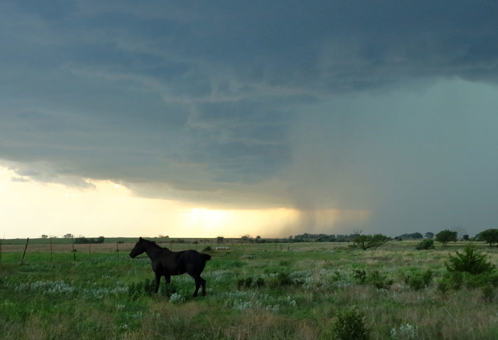 horse and supercell