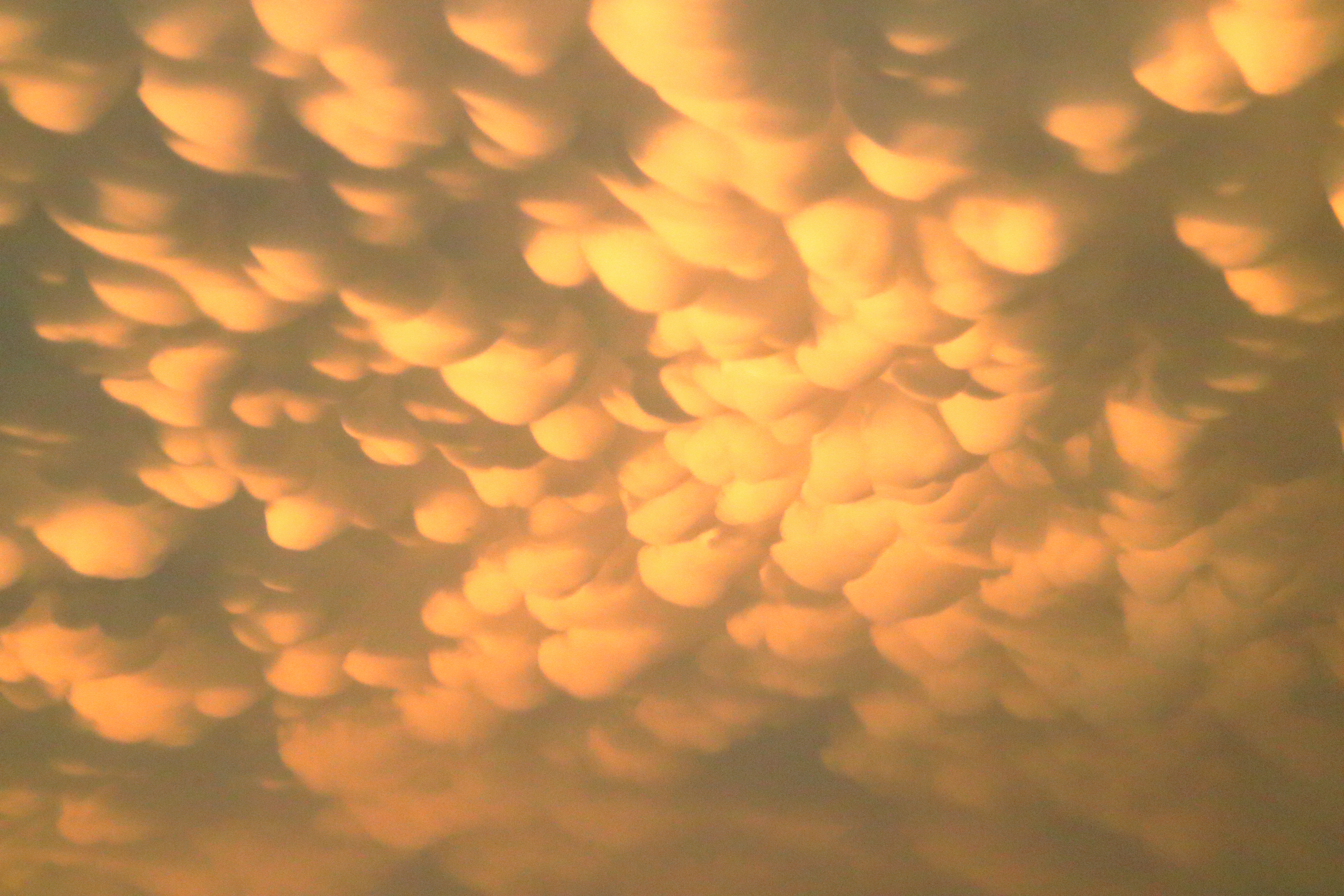 mammatus clouds