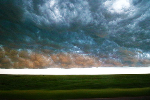 whales mouth storm