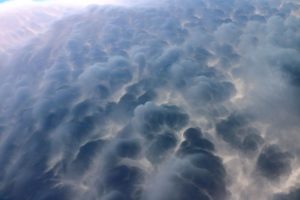 mammatus