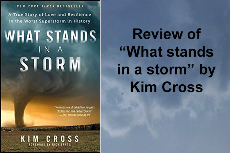 review what stands in a storm kim cross